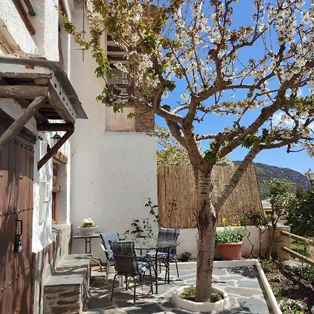 Casa Alpujarrena Fina Numero 27 Holiday home *