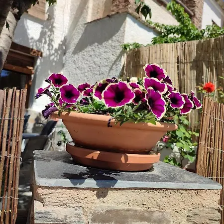 Casa Alpujarrena Fina Numero 27 Bubion